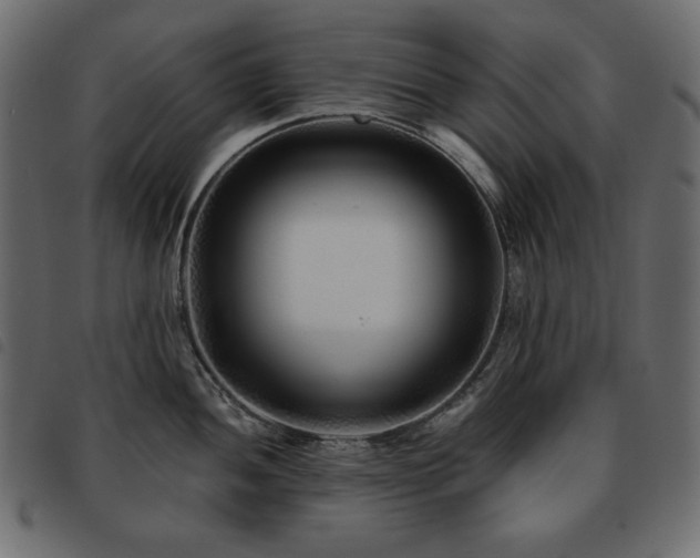 X0000093581052200710151141