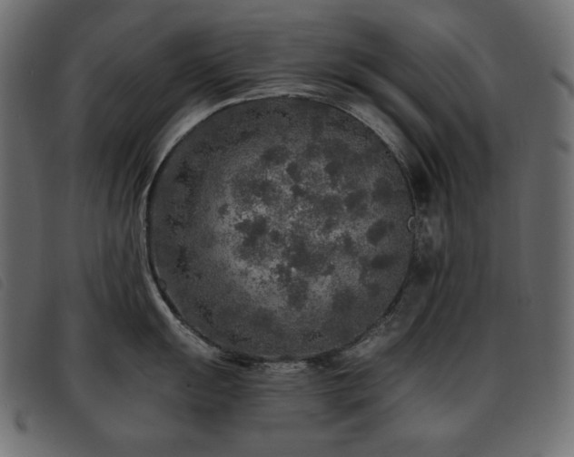 X0000093581055200710151141