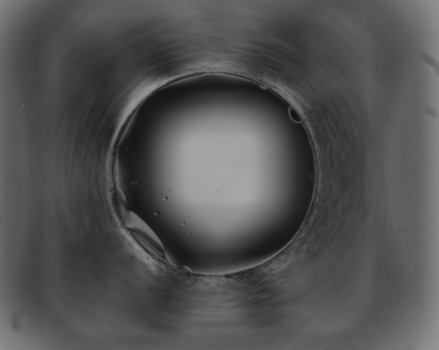 X0000093581056200710151141