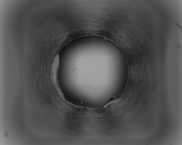 X0000093581057200710151141