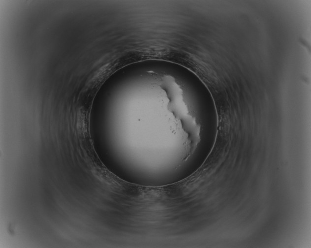 X0000093581058200710151141