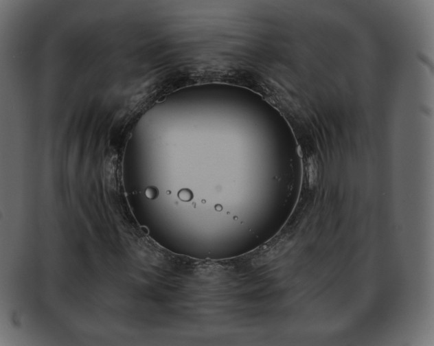 X0000093581059200710151141