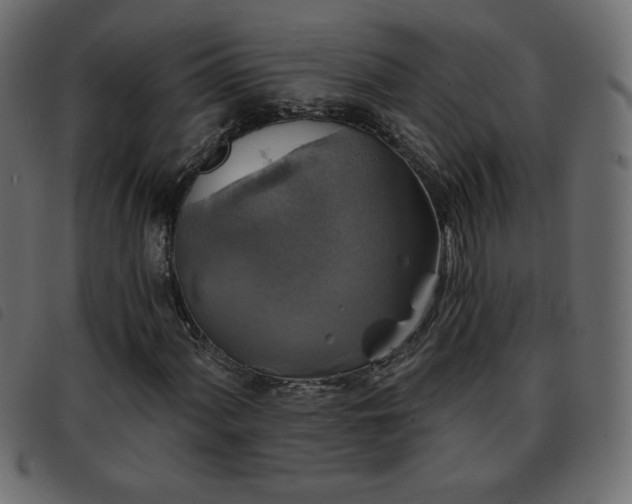 X0000093581060200710151141