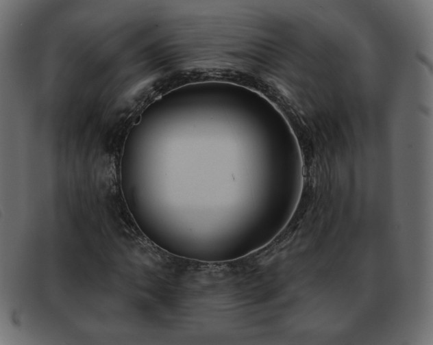 X0000093581062200710151140