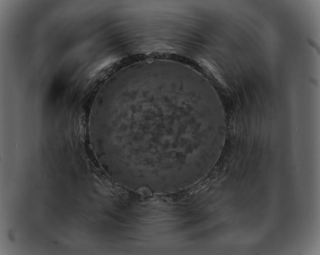 X0000093581063200710151140