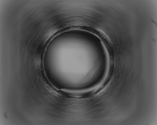 X0000093581065200710151140