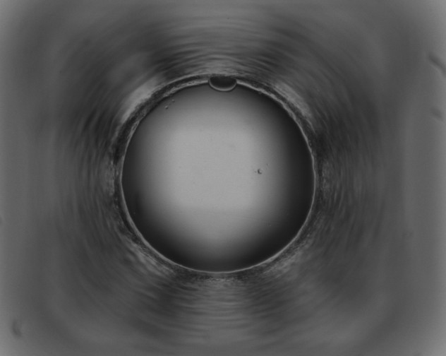 X0000093581067200710151140