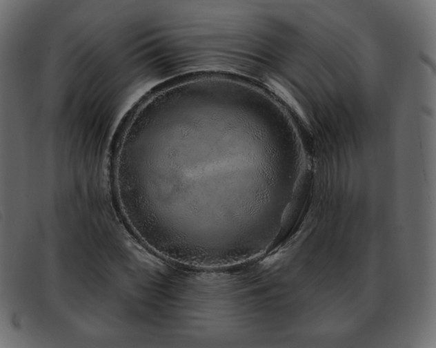 X0000093581068200710151140