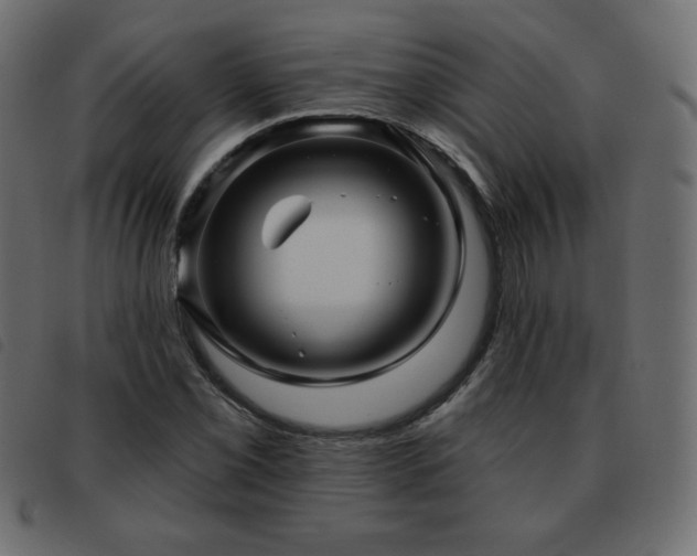 X0000093581069200710151140