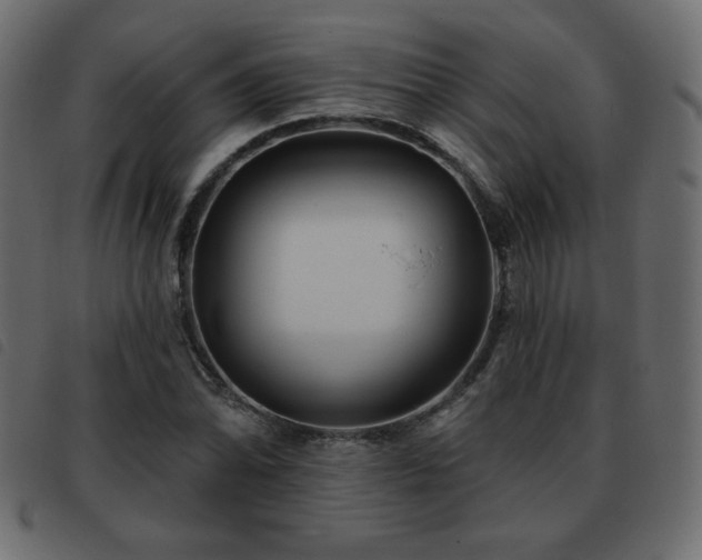 X0000093581070200710151140
