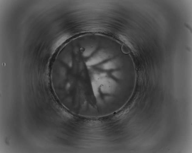 X0000093581071200710151140