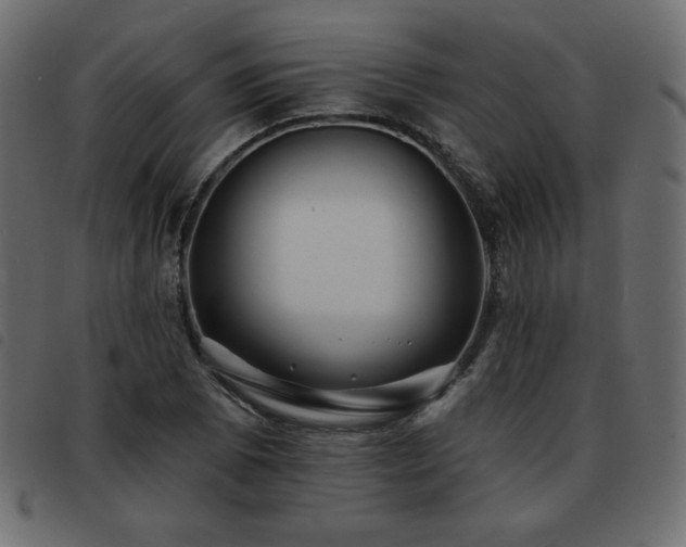 X0000093581073200710151140