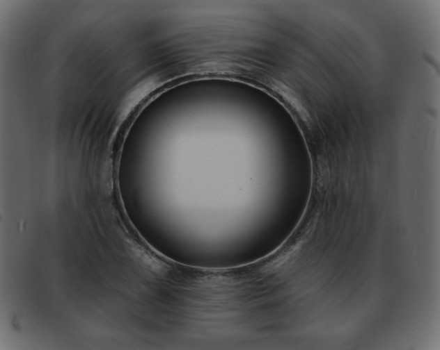 X0000093581075200710151140