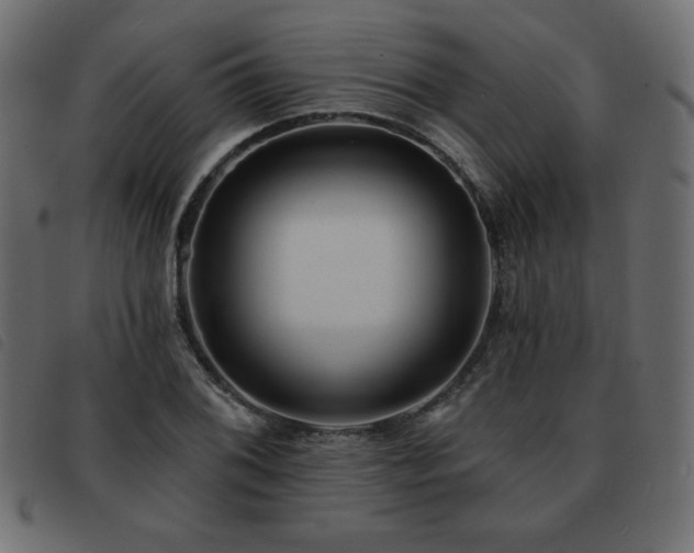 X0000093581076200710151140