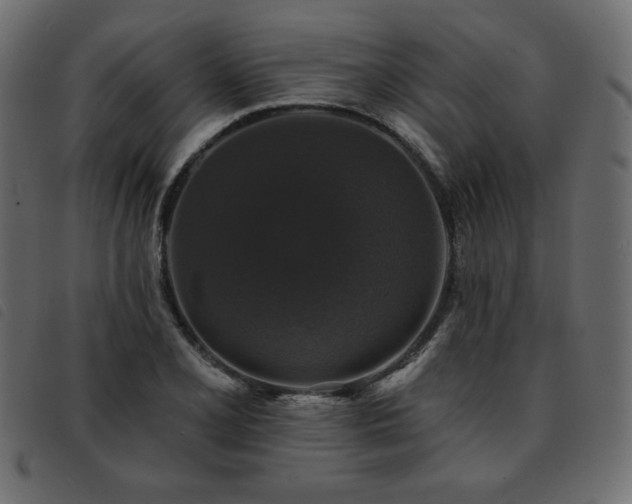 X0000093581077200710151140