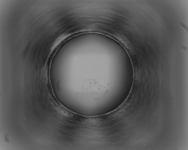 X0000093581078200710151140