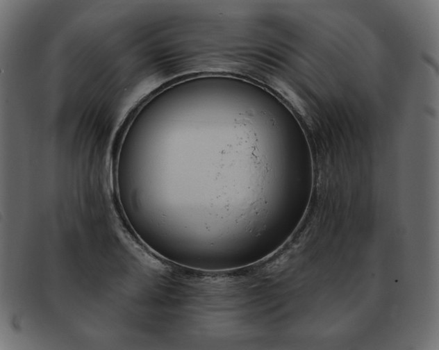 X0000093581080200710151140