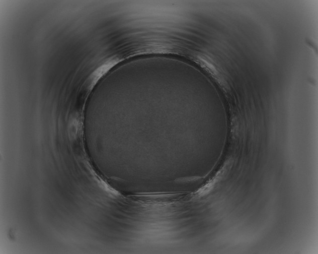 X0000093581081200710151140