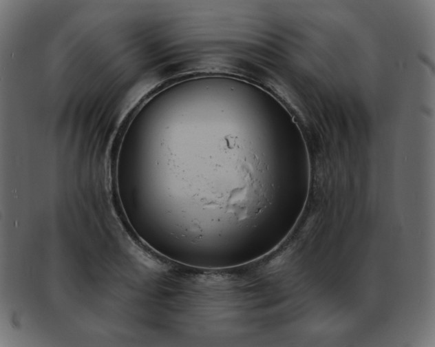 X0000093581082200710151140