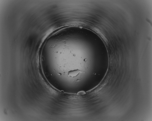 X0000093581083200710151140
