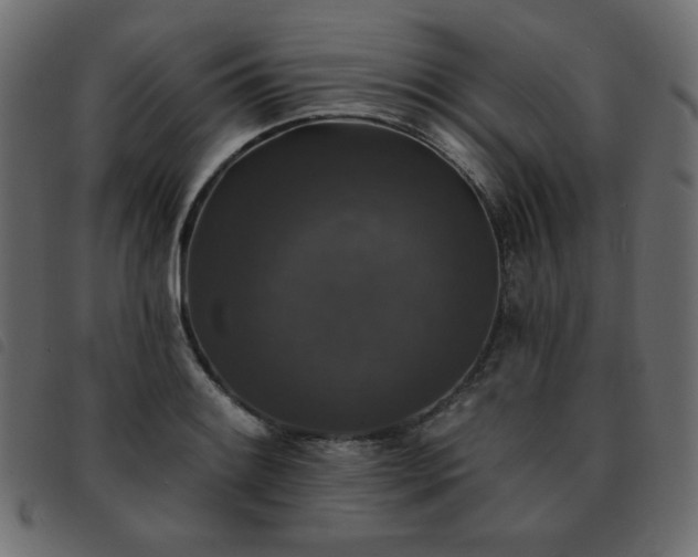 X0000093581084200710151140