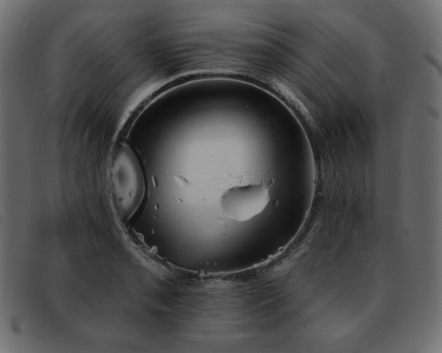X0000093581085200710151140