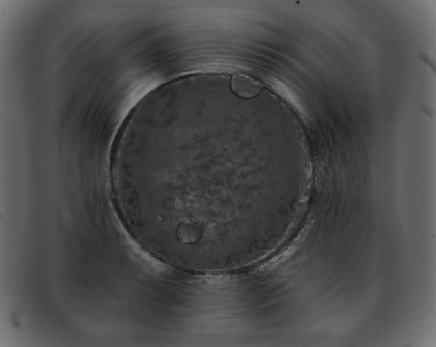 X0000093581087200710151140