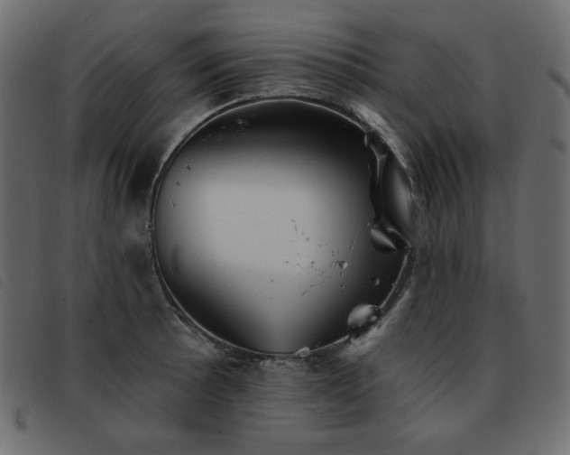 X0000093581089200710151140