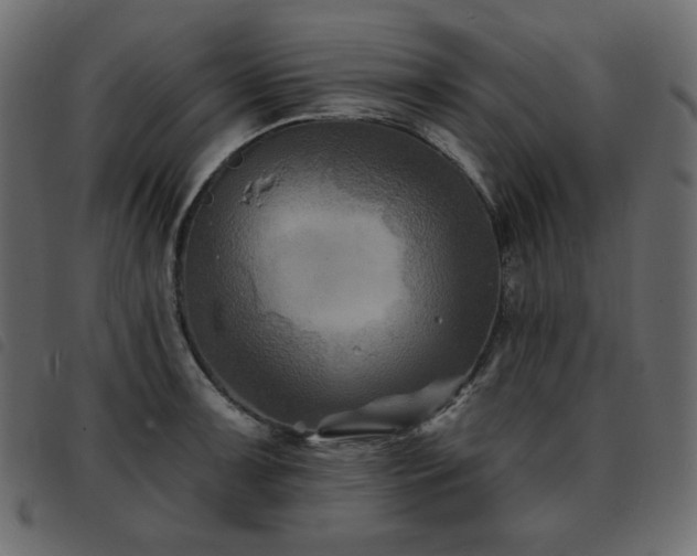 X0000093581091200710151140
