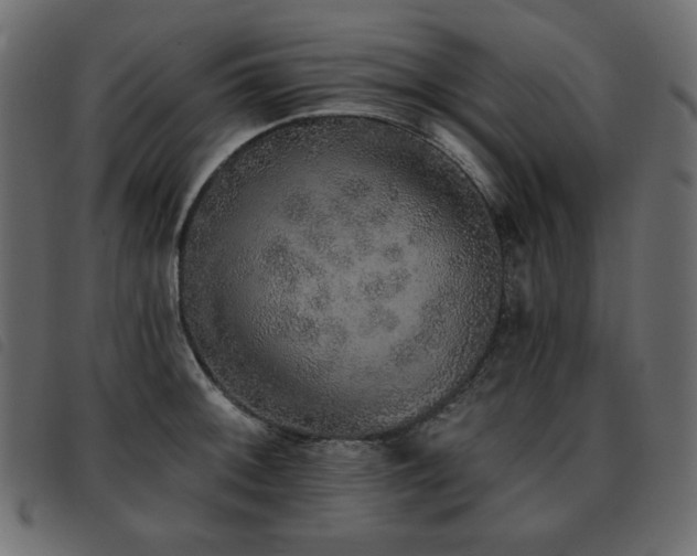 X0000093581092200710151140