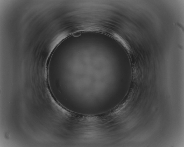 X0000093581095200710151140