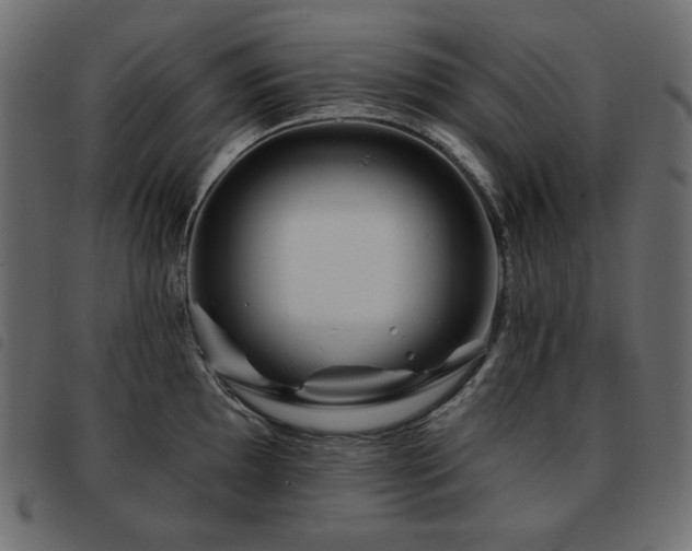 X0000093581097200710151140