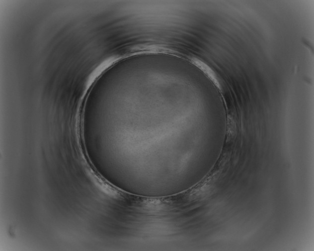 X0000093581098200710151140