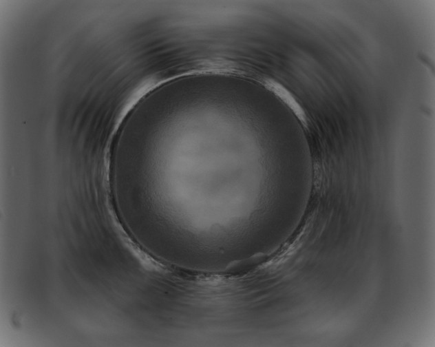 X0000093581099200710151140