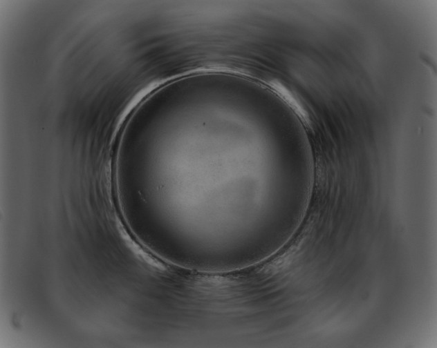 X0000093581100200710151140