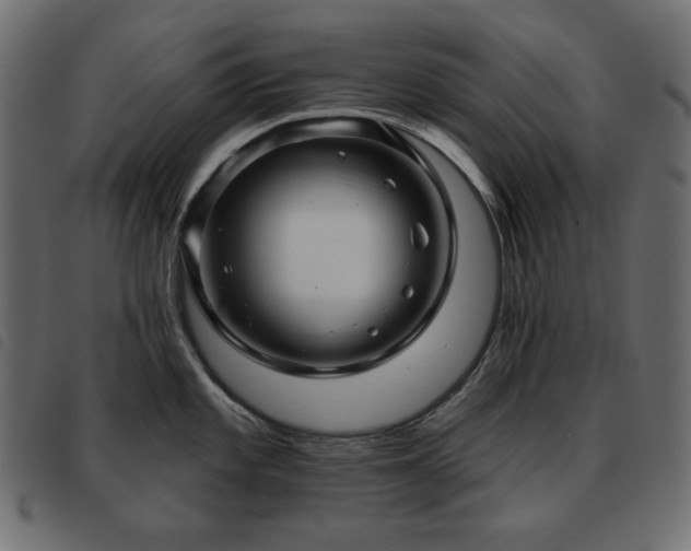 X0000093581101200710151140