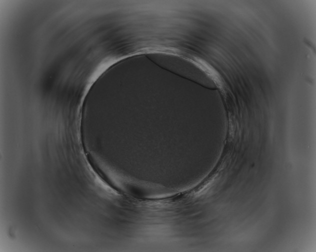 X0000093581102200710151140