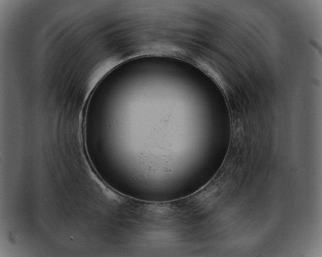 X0000093581103200710151140