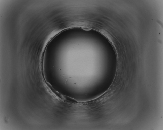 X0000093581104200710151140