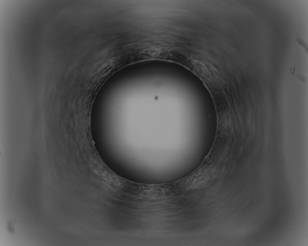 X0000093581105200710151139