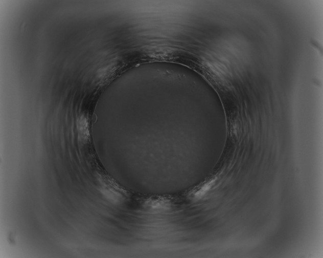 X0000093581106200710151139