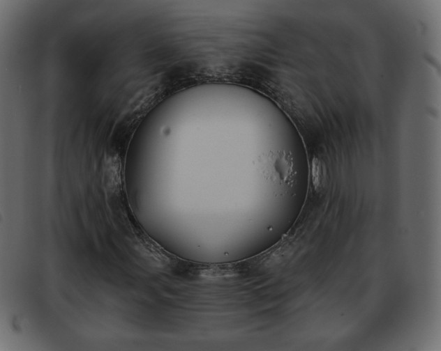 X0000093581107200710151139