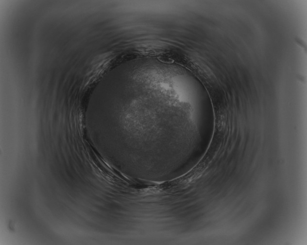 X0000093581108200710151139