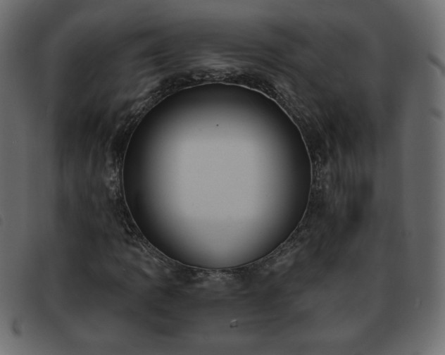 X0000093581109200710151139