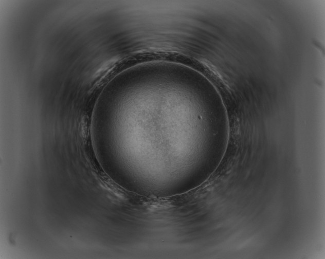X0000093581110200710151139