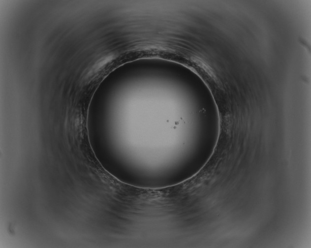 X0000093581111200710151139