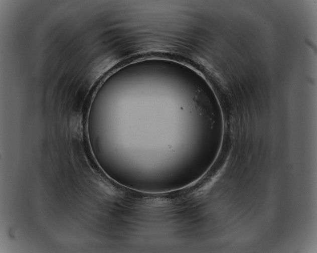 X0000093581113200710151140