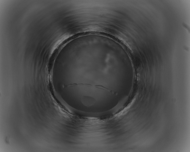 X0000093581117200710151140