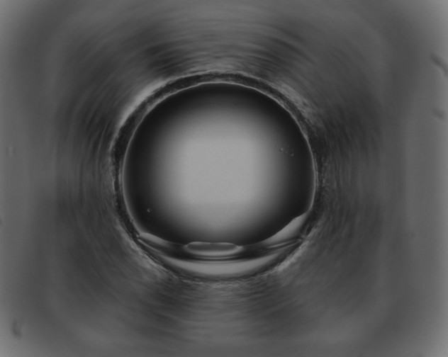 X0000093581118200710151140