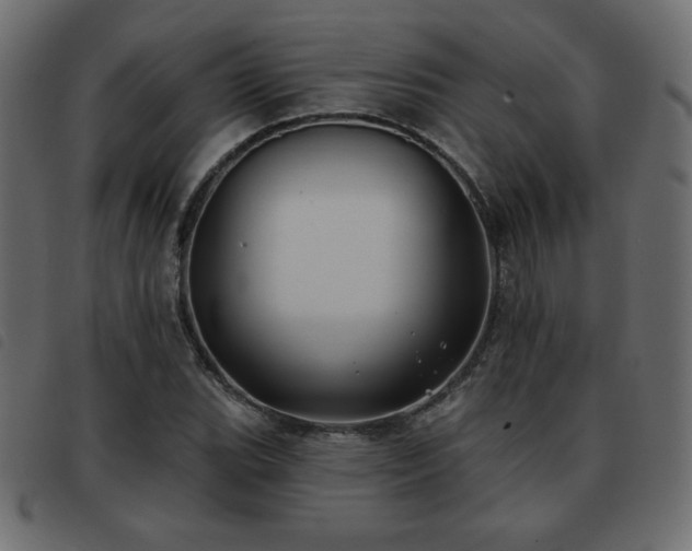X0000093581119200710151140